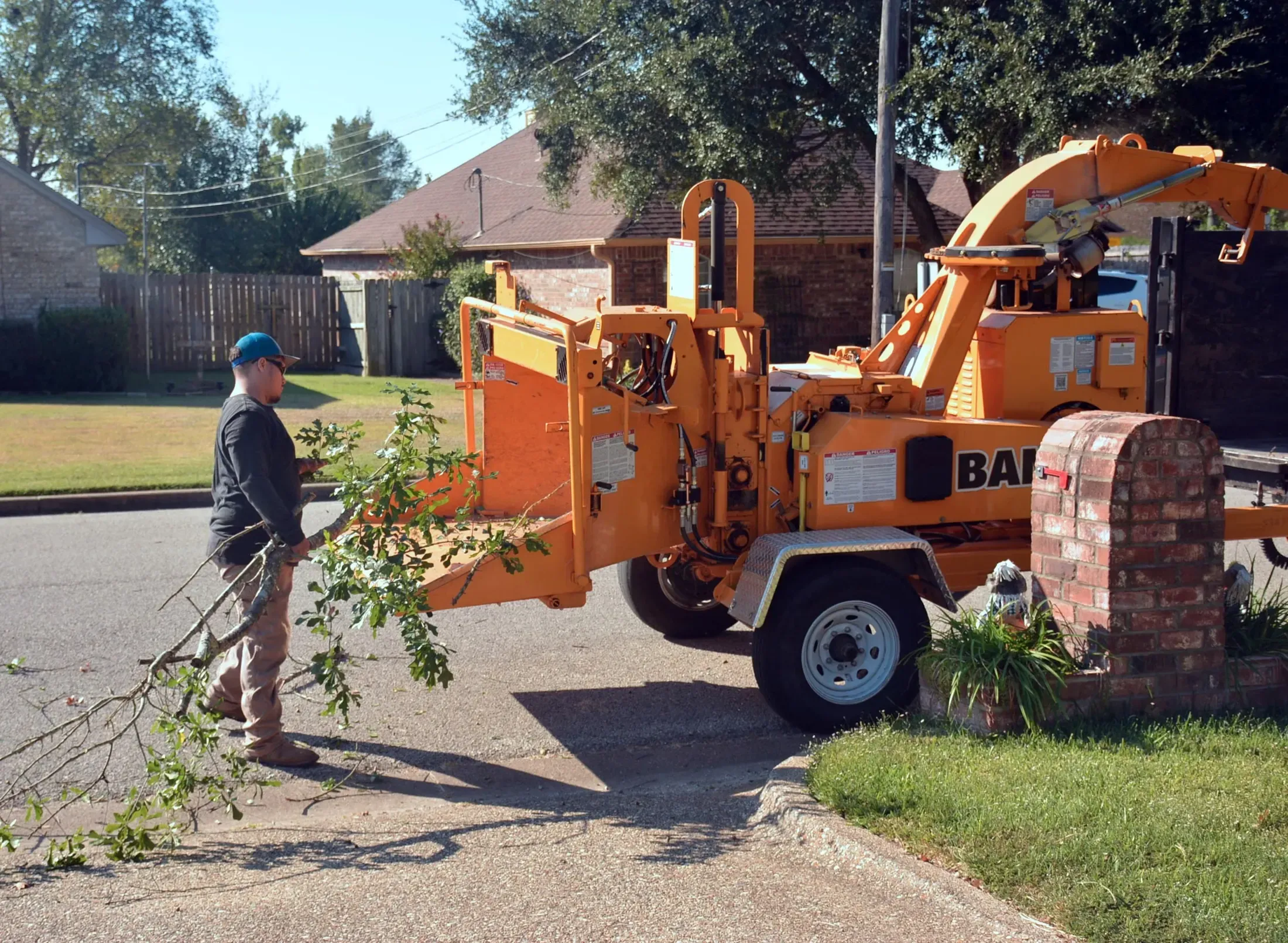 A tree crew feeding cut limbs into a wood chipper on a residential driveway